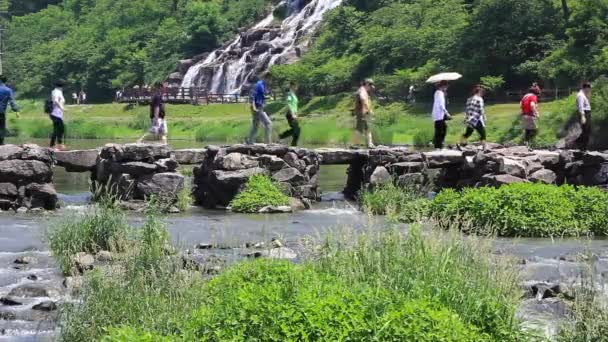 Jincheon Corea Del Sur Junio 2014 Puente Nonggyo Jincheon Antiguo — Vídeos de Stock