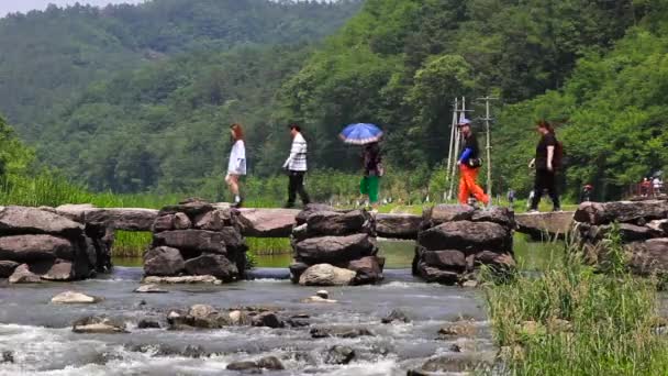 Jincheon Korea Południowa Cze 2014 Nonggyo Bridge Jincheon Jest Starym — Wideo stockowe