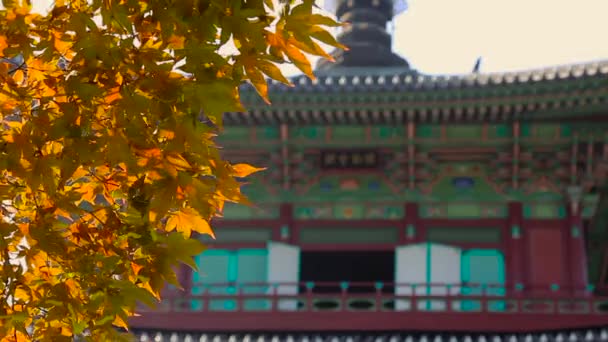 南韩金川的Botapsa寺 — 图库视频影像
