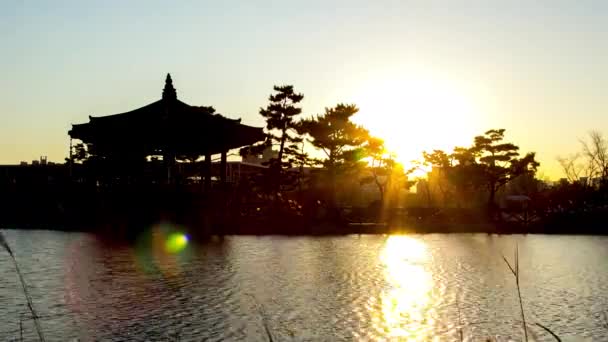 Пруд Традиционный Корейский Павильон Силуэте Hanbat Arboretum Тэджоне Корея — стоковое видео