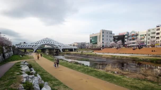 Daejeon South Korea October 2016 Timelapse Shot Mokcheokgyo Which Located — Stock Video