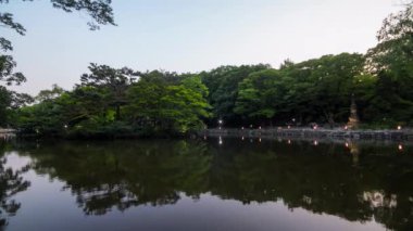 Kore Changgyeonggung, Chundangji, Gölet ve Orman 'ın gece vakti çekimleri..