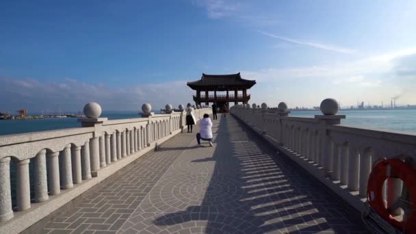 Dezembro 2019 Pohang Coreia Sul Yeongildae Beach Com Bela Paisagem — Vídeo de Stock