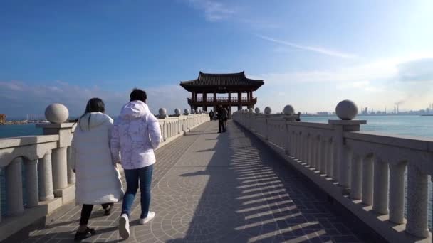 Dic 2019 Pohang Corea Del Sur Playa Yeongildae Con Hermoso — Vídeos de Stock