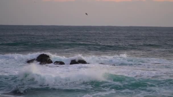 Movimiento Lento Onda Marina Fuerte Durante Amanecer — Vídeos de Stock