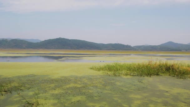 Upo Wetland Changnyeong Gun Gyeongsangnam Jižní Korea — Stock video