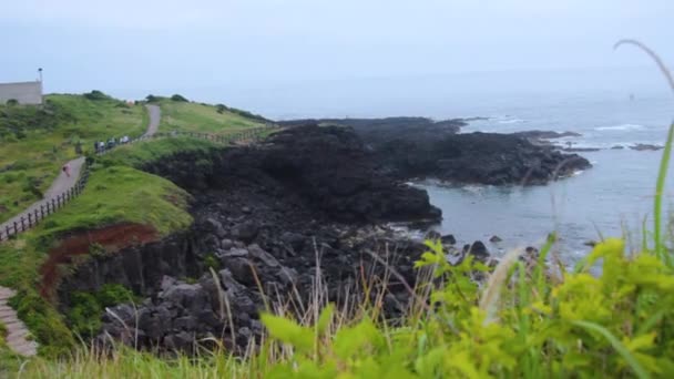 Bela Vista Verde Praia Rochosa Seopjikoji Jeju — Vídeo de Stock