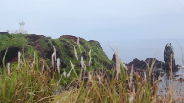 Όμορφη Θέα Πράσινο Από Βραχώδη Παραλία Στο Seopjikoji Jeju — Αρχείο Βίντεο