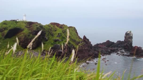 Belle Vue Sur Verdure Depuis Plage Rochers Seopjikoji Jeju — Video