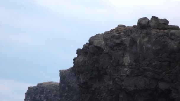 Hermoso Paisaje Isla Jeju Jejudo Corea Del Sur — Vídeos de Stock