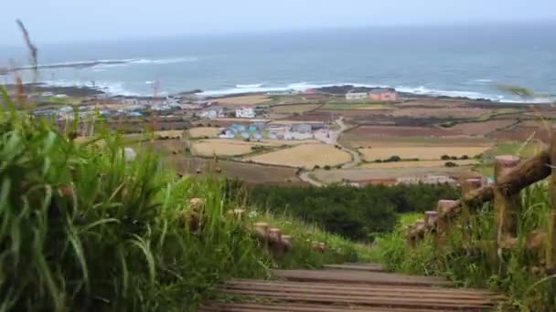 Sea Lighthouse Udo Little Island Jeju South Korea — Stock Video