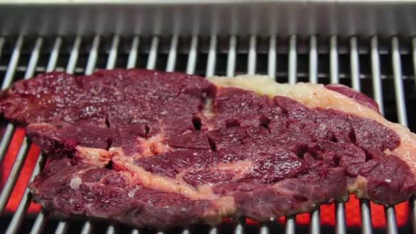 Grilled Roasted Horse Meat Korean Food Jeju — Stock Video