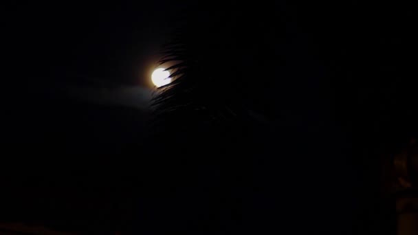 Luna Llena Noche Oscura — Vídeos de Stock