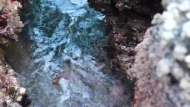 Yongmeori Sahili, Jeju Adası, Kore ve Asya 'da kumtaşı yatağında dalgalar.
