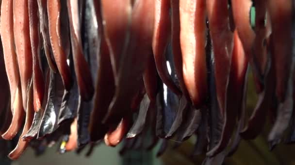 Ειδικό Προϊόν Pohang Της Κορέας Gwamegi Αποξηραμένο Σάρι Guryongpo Είναι — Αρχείο Βίντεο