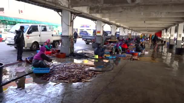 Ulleung Gun Suhyup Fédération Nationale Des Coopératives Pêche Port Jedong — Video