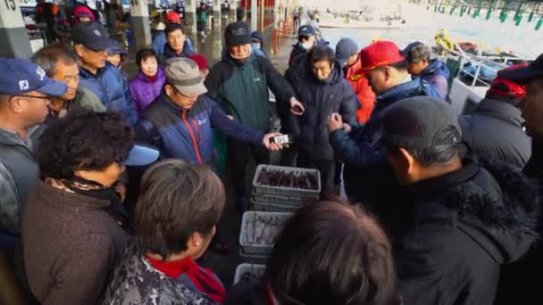 2019年12月25日韓国鬱陵郡景宗港水船 全国水産協同組合連合会 小売業者がイカの値を競り合ってオークションに勝つ — ストック動画