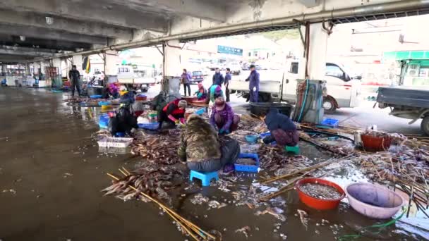 Ulleung Gun Suhyup Narodowa Federacja Spółdzielni Rybackich Jedong Port Ulleung — Wideo stockowe