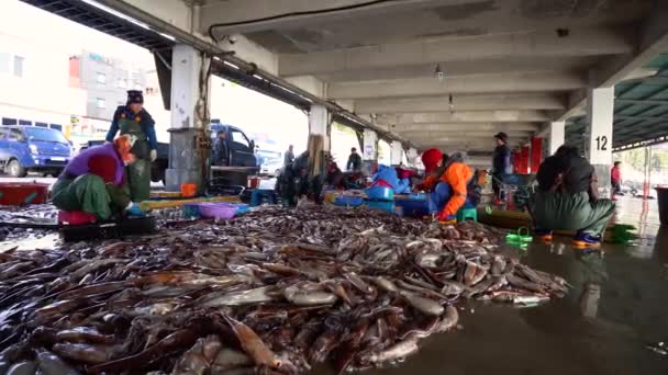 Ulleung Gun Suhyup National Federation Fisheries Cooperatives Jedong Port Ulleung — 图库视频影像