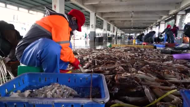 Ulleung Gun Suhyup Federação Nacional Cooperativas Pesca Porto Jedong Ulleung — Vídeo de Stock