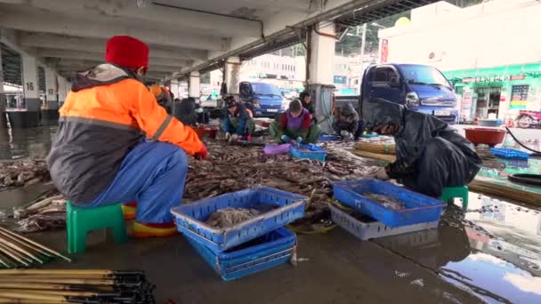 Ulleung Gun Suhyup Národní Federace Rybářských Družstev Jedong Port Ulleung — Stock video