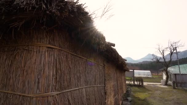 韓国の鬱陵島にある伝統的な茅葺きの家 — ストック動画