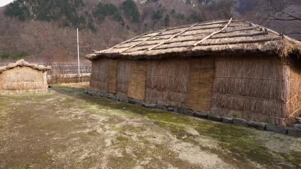 Traditionele Rietgedekte Woning Ulleungdo Korea — Stockvideo