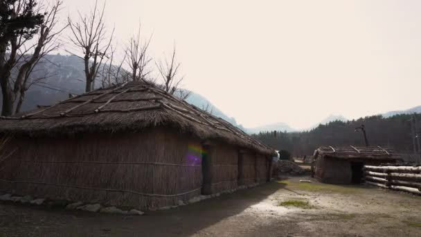 Maison Chaume Traditionnelle Ulleungdo Corée — Video