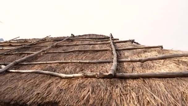 韓国の鬱陵島にある伝統的な茅葺きの家 — ストック動画