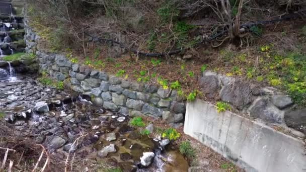 Agua Fuente Yongchulso Ubicada Nari Buk Myun Ulleung Gun Manantial — Vídeo de stock