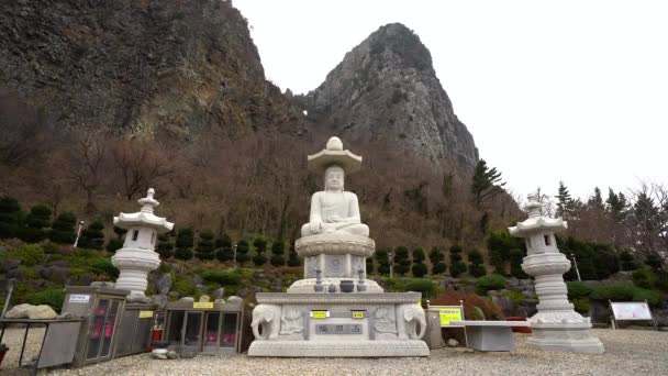 Ulleungdo Νότια Κορέα Δεκέμβριος 2019 Ναός Seongbulsa Που Βρίσκεται Στο — Αρχείο Βίντεο