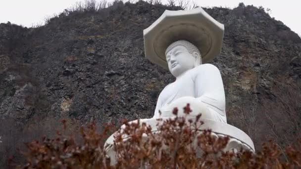 Ulleungdo Corea Del Sur Diciembre 2019 Templo Seongbulsa Ubicado Ulleung — Vídeos de Stock