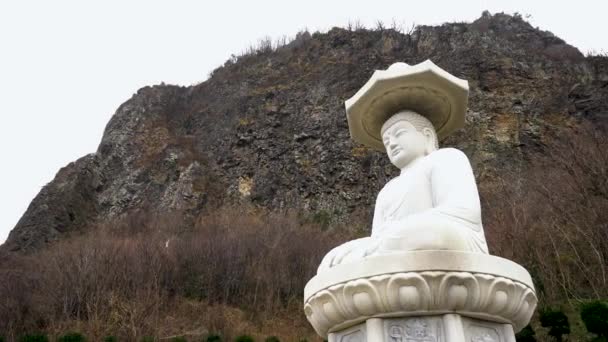 鬱陵島 12月2019 ソンブルサ寺院 鬱陵島に位置しています 韓国慶尚北道鬱陵郡 — ストック動画