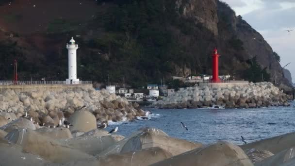 Prachtige Landschapsbeelden Rondom Jedong Port Seagull Vuurtoren Het Schip Gyeongsangbuk — Stockvideo
