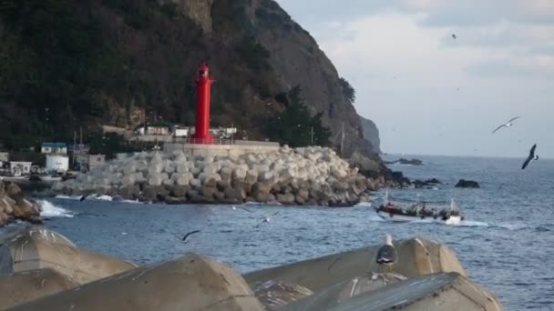 Hermosas Imágenes Del Paisaje Alrededor Del Puerto Jedong Gaviota Faro — Vídeos de Stock