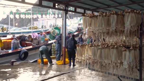 Ulleung Gun Suhyup Nationale Federatie Van Visserijcoöperaties Jedong Port Ulleung — Stockvideo