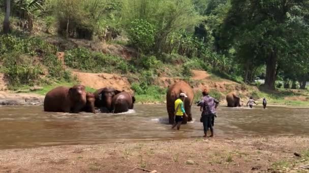 CHIANG MAI / THAILAND - Lehet 12.2018: turista lovaglás elefántok Trekking Thaiföldön Fiatal turisták lovagolnak elefántok a dzsungelben a nemzeti park Maetaman elefánt tábor.