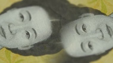 Güney Kore 'deki Sinsaimdang filminin Macro manzarası. 50 bin won.