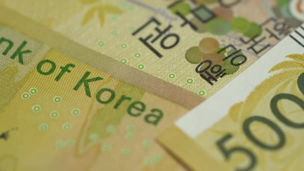 Вид Южную Корею 50000 Вон Банкноты — стоковое видео