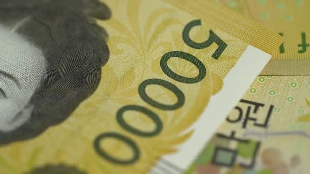 Macro View South Korea 50000 Won Banknote — Stock Video