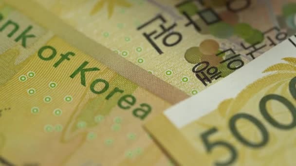 Macro View South Korea 50000 Won Banknote — Stock Video