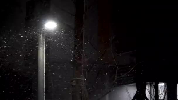Tempête Neige Fait Rage Toute Nuit — Video