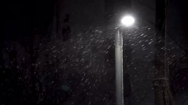 Tempête Neige Fait Rage Toute Nuit — Video
