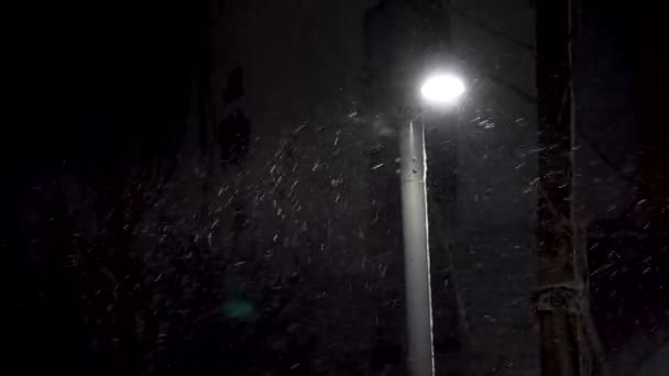 Hele Nacht Raasde Sneeuwstorm — Stockvideo