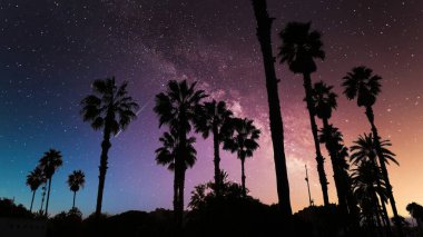 Geceleri palmiyeleri olan galaksi.