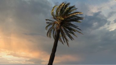 Avuç içi bulutlu gökyüzünde