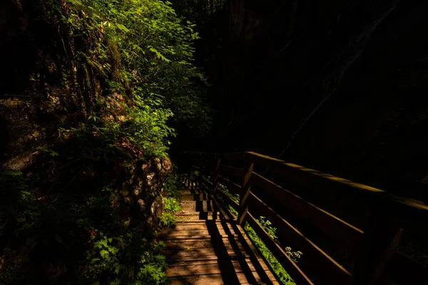 Beautiful wooden path trail for nature trekking and alp hiking with mountain river, canyon and waterfall, located in Wimbachklamm, Berchtesgaden, Bavaria, Germany (Bavarian Alps)