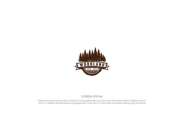 Retro Vintage Pine Cedar Spruce Evergreen Fir Hemlock Larch Cypress Trees Forest with Wood for Timber Logging Logo Design Vector
