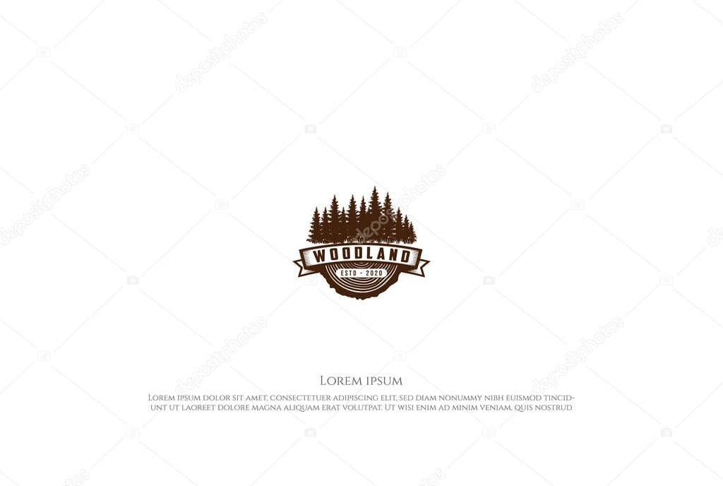 Retro Vintage Pine Cedar Spruce Evergreen Fir Hemlock Larch Cypress Trees Forest with Wood for Timber Logging Logo Design Vector