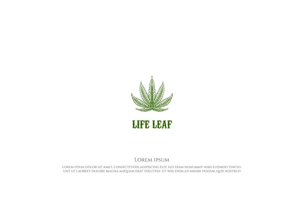 Eskitilmiş Yeşil Esrar Marihuana Kenevir Yaprağı Kenevir Cbd Yağ Logosu — Stok Vektör